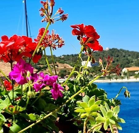 Bed & Breakfast Dionis Vis Bagian luar foto