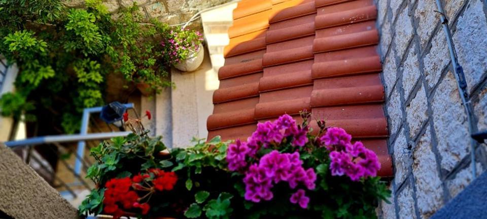 Bed & Breakfast Dionis Vis Bagian luar foto
